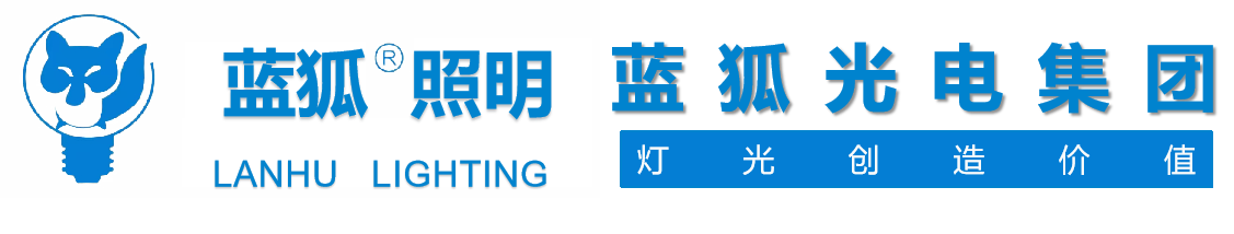 四川蓝狐智慧照明工程有限公司