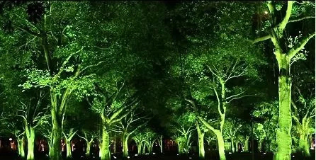 园林景观照明设计的关键点在哪里以及灯具的选择要求